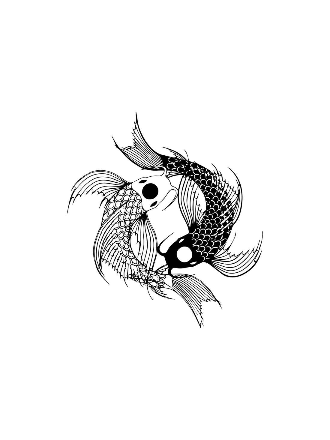 koi carp