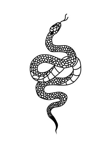 snake